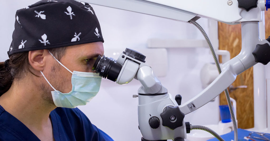 endodoncia microscopio